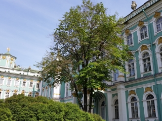 20.05.2016 11:01 | Hermitage Museum, Sankt Petersburg, Russia